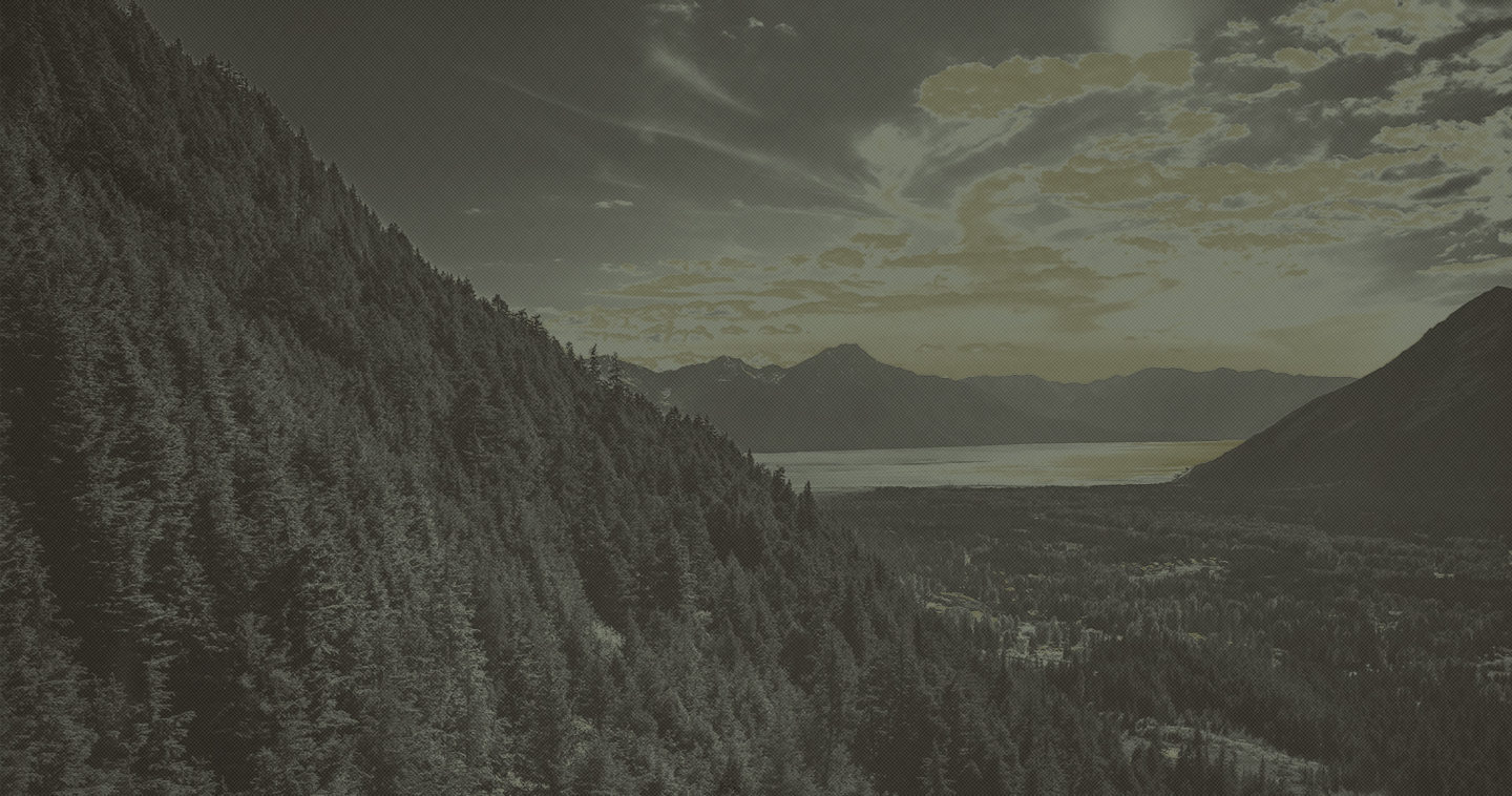 Top Alaska Attorneys On Your York